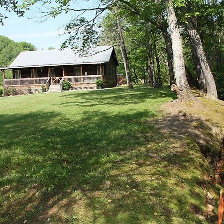 Climbing Bear Creekside Cabin Whittier Exteriör bild